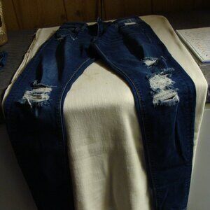 Women's Daytrip Distressed Jeans